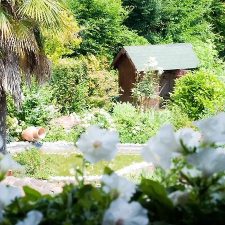 Ca' Olimpia Bed & Breakfast Mirano